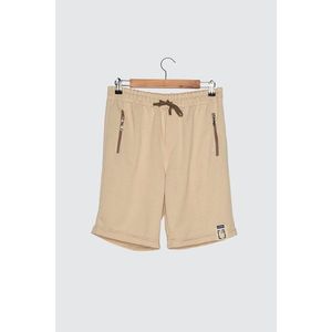 Trendyol Stone Men's Regular Fit Shorts & Bermuda vyobraziť