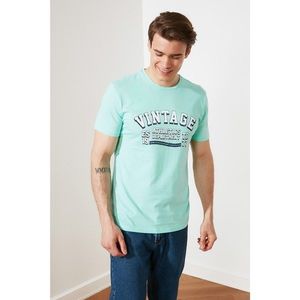 Trendyol Mint Men's Regular Fit Crew Neck Short Sleeve Printed T-Shirt vyobraziť