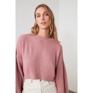Trendyol Rose Dry Crop and Spanish Sleeve Knitwear Sweater vyobraziť