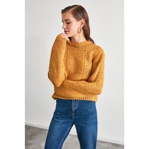 Trendyol Mustard Bike Collar Knitwear Sweater vyobraziť