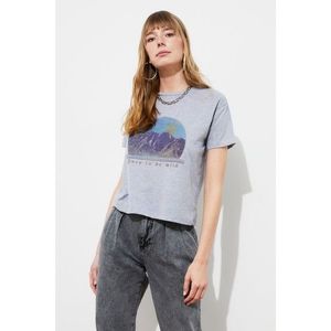 Trendyol Gray printed knitted T-shirt vyobraziť