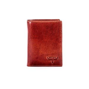 Brown leather wallet with embossing vyobraziť