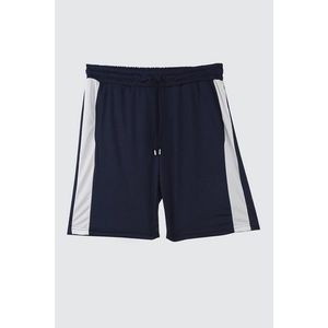 Trendyol Navy Blue Men's Regular Fit Panel Shorts & bermuda vyobraziť