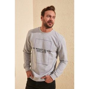 Trendyol Gray Male Regular Fit Basic Sweatshirt vyobraziť