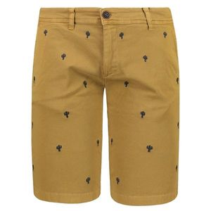 Men's Shorts Trendyol Embroidered vyobraziť