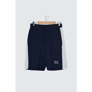 Trendyol Navy Men's Regular Fit Shorts & Bermuda vyobraziť