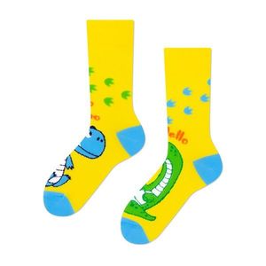 Ponožky Frogies Happy Dino vyobraziť