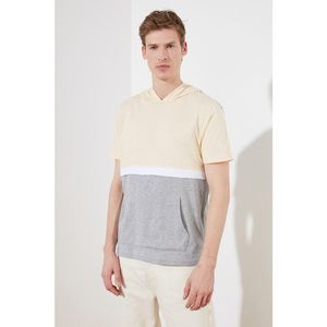 Trendyol Yellow Men's Regular Fit T-Shirt vyobraziť
