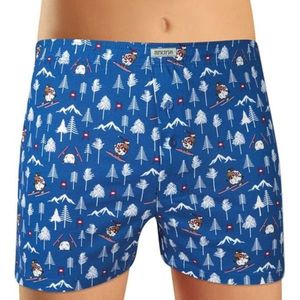 Men's shorts Andrie blue (PS 5538 A) vyobraziť