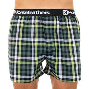 Men's shorts Horsefeathers Clay pine (AM068E) vyobraziť