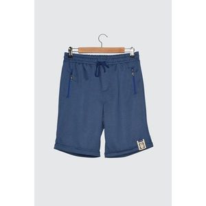 Trendyol Indigo Men's Regular Fit Shorts & Bermuda vyobraziť