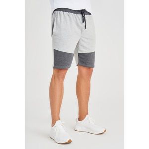 Trendyol Grey Men's Regular Fit Panel shorts & bermuda vyobraziť