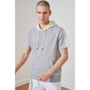 Trendyol Gray Male Regular Fit Sweatshirt vyobraziť