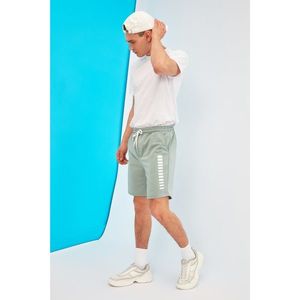 Trendyol Mint Men's Regular Fit Shorts & Bermuda vyobraziť