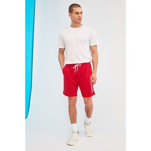 Trendyol Red Men's Regular Fit Shorts & Bermuda vyobraziť