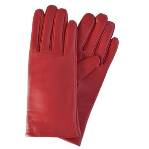 Semiline Woman's Women Leather Antibacterial Gloves P8213 vyobraziť