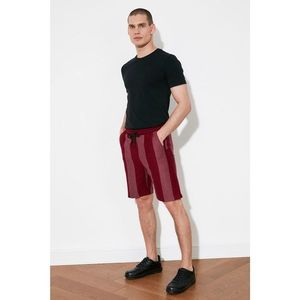Trendyol Claret Red Men's Regular Fit Striped Shorts & Bermuda vyobraziť