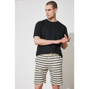 Trendyol Ecru Men's Regular Fit Shorts & Bermuda vyobraziť