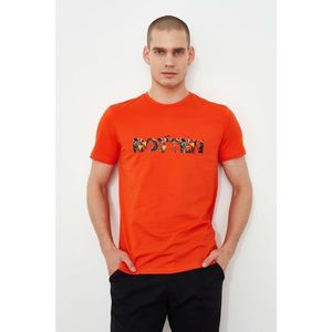 Trendyol Orange Male Slim Fit Basque T-Shirt vyobraziť