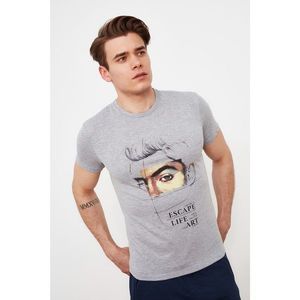 Trendyol Gray Men's Regular Fit T-Shirt vyobraziť