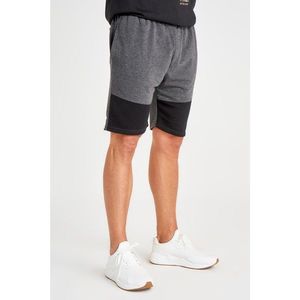 Trendyol Anthracite Men's Regular Fit PanelEd Shorts & Bermuda vyobraziť