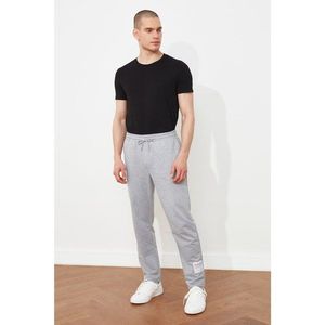 Trendyol Gray Men's Regular Fit Tag Detailed Sweatpants vyobraziť