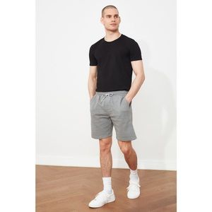 Trendyol Gray Men's Regular Fit Shorts & Bermuda vyobraziť