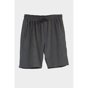 Trendyol Anthracite Men's Slim Fit Shorts & Bermuda vyobraziť