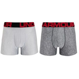 2PACK men's boxers Under Armor gray (1363618 011) vyobraziť
