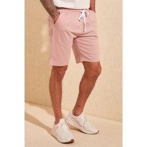 Trendyol Powder Men Regular Fit Contrast Piping Shorts & Bermuda vyobraziť