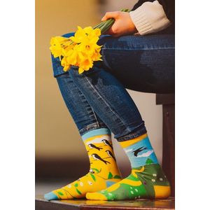 Žlto-zelené ponožky One Swallow Doesn´t Make a Spring vyobraziť