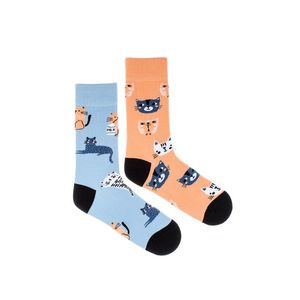 Broskyňovo-modré ponožky Cats vyobraziť