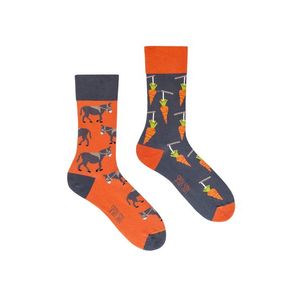 Sivo-oranžové ponožky Stick & Carrot vyobraziť
