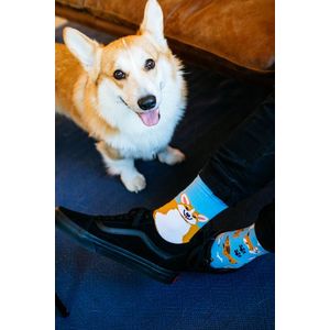 Modro-oranžové ponožky Playful Dog vyobraziť