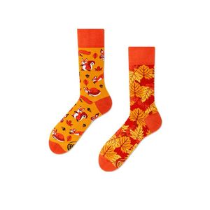 Oranžové ponožky The Squirrels vyobraziť