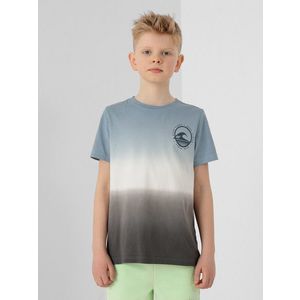 Chlapčenské basic regular tričko s potlačou vyobraziť