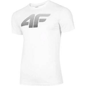 Pánske fashion tričko 4F vyobraziť