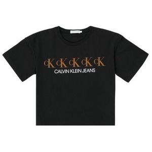 Tričká s krátkym rukávom Calvin Klein Jeans CK REPEAT FOIL BOXY T-SHIRT vyobraziť