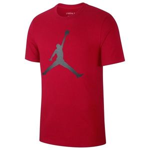 Pánske tričko Air Jordan Big Logo vyobraziť