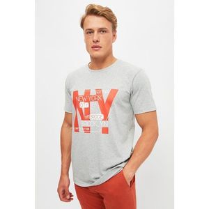 Trendyol Gray Men's Regular Fit Crew Neck Short Sleeve Printed T-Shirt vyobraziť
