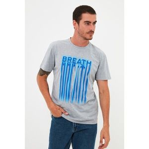 Trendyol Gray Men's Regular Fit Short Sleeved Printed T-Shirt vyobraziť