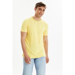 Trendyol Yellow Men's Regular Fit Short Sleeve T-Shirt vyobraziť
