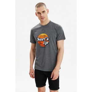 Trendyol Anthracite Men's Regular Fit Short Sleeve Printed T-Shirt vyobraziť