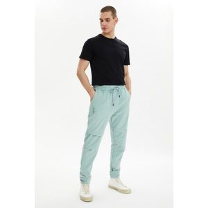 Trendyol Mint Men's Regular Fit Trousers vyobraziť
