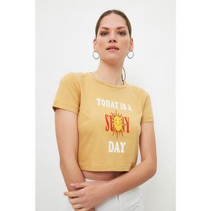 Trendyol Camel Printed Crop Knitted T-Shirt vyobraziť