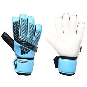 Adidas Predator Training FS Goalkeeper Gloves vyobraziť
