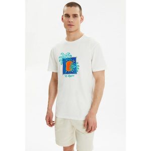 Trendyol Ecru Men's Regular Fit Crew Neck Short Sleeve Printed T-Shirt vyobraziť