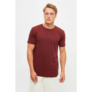 Trendyol Burgundy Men's Regular Fit Crew Neck Short Sleeve Printed T-Shirt vyobraziť