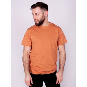 Yoclub Cotton T-Shirt Short Sleeve PM-012/TSH/MAN vyobraziť
