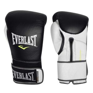 Everlast Powerlock Pro Hook And Loop Training Boxing Gloves vyobraziť